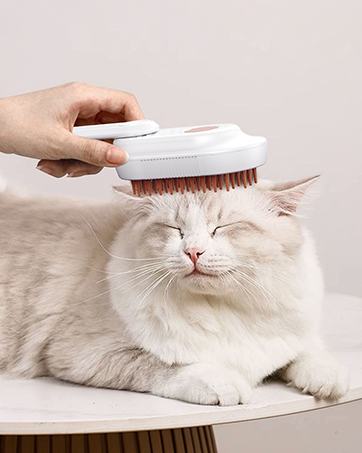 cat steam brush