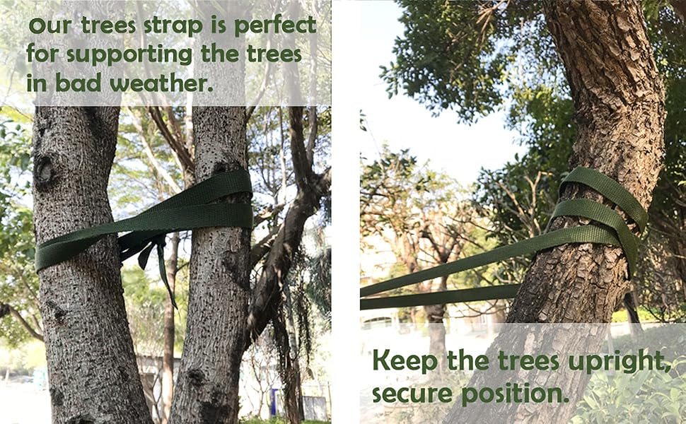 Amazon.com : Green Tree Tie Strap 50 Feet x 1 Inch Tree Support Straps ...