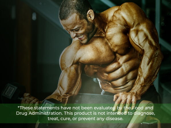 buff guy lifting weights mobile