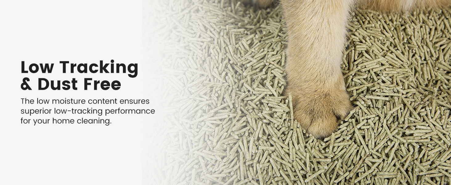 dust free cat litter