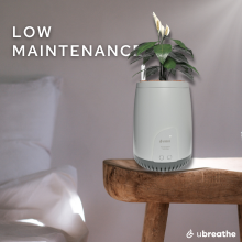 Low Maintenance