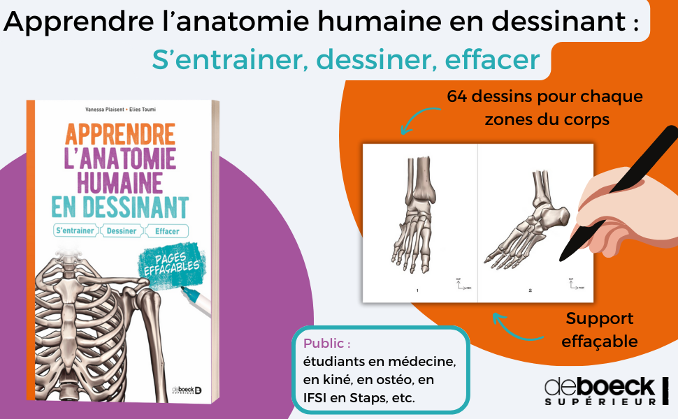Anatomie Page De Garde Amazon.fr - Apprendre l’anatomie humaine en dessinant : S’entrainer