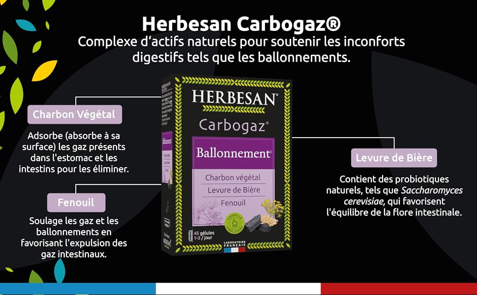 PAGE A + HB carbogaz