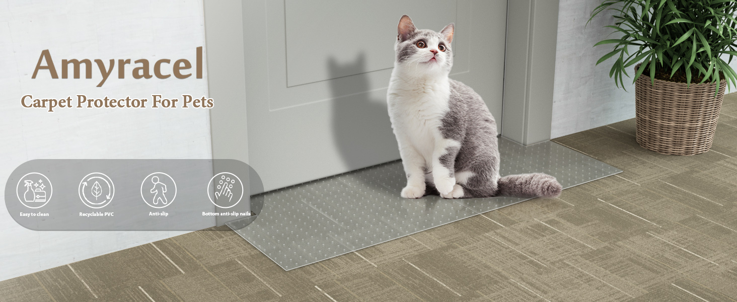 Amyracel Carpet Protector for Pets, Anti Scratch Cat