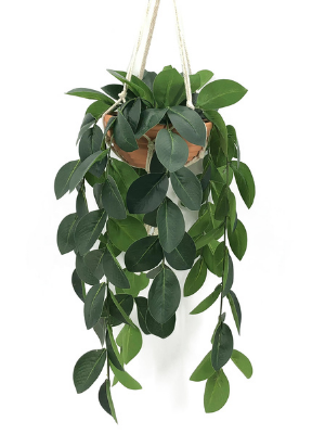 Artificial Hanging Plant