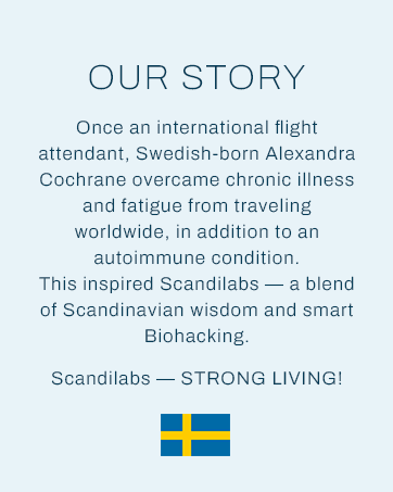 Scandilabs. Our Story