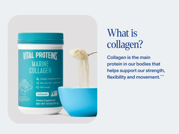 What is collagen?