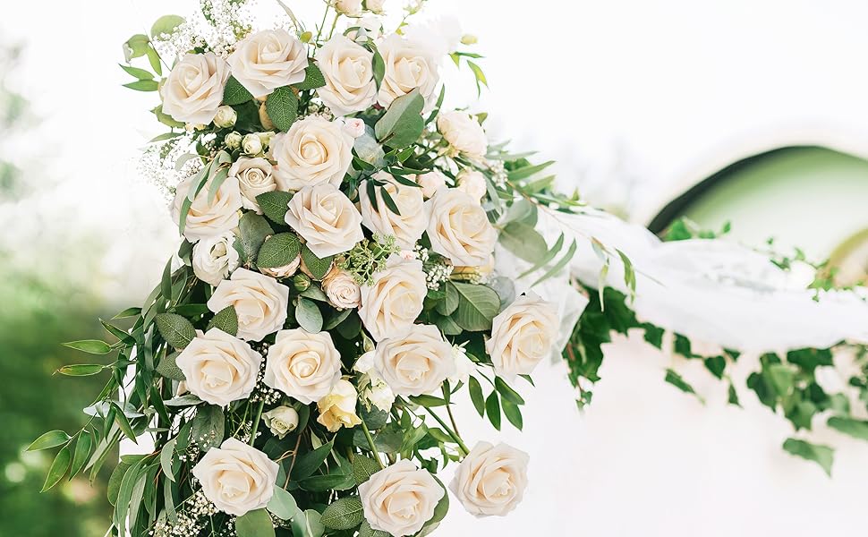 cream rose
