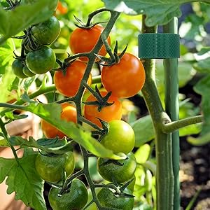 Plant Ties Garden Ties Tomato Ties