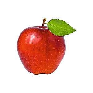 Apple Vinegar Aofvinegar