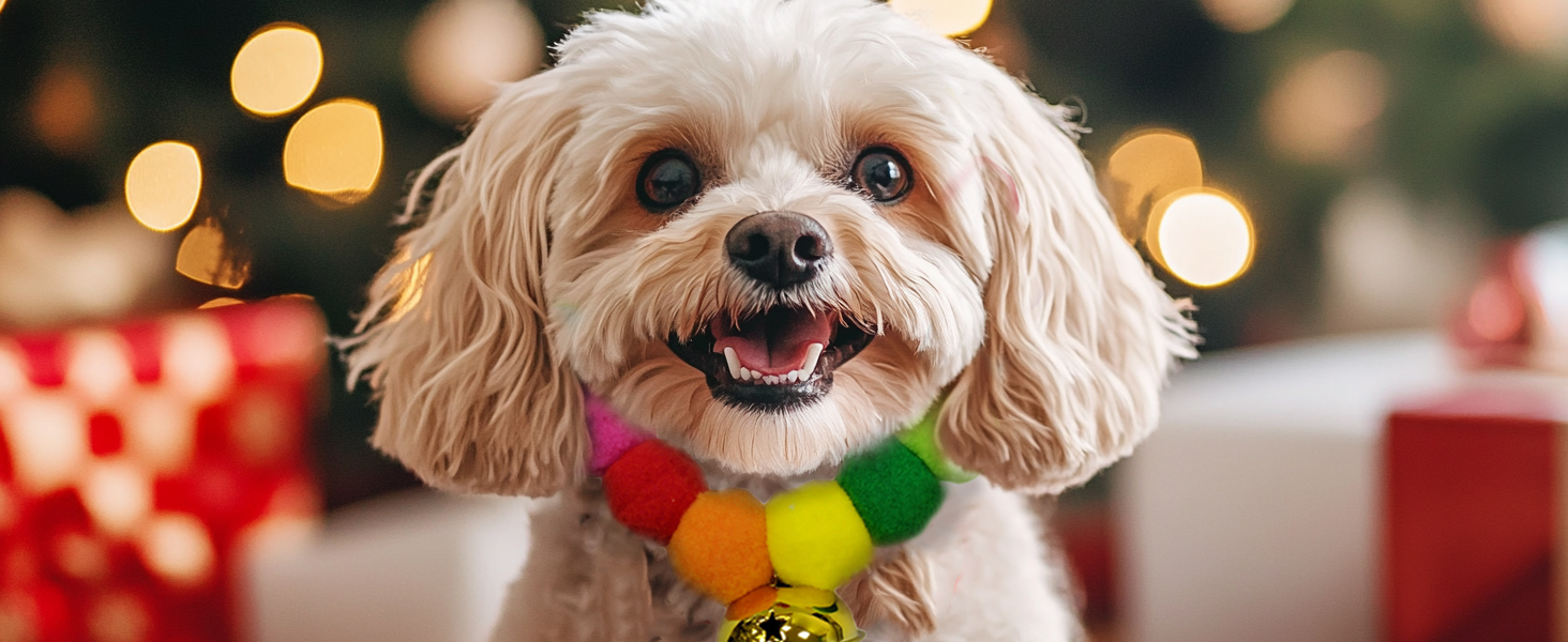 leconpet Pom Pom Dog Collar