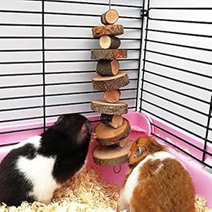 Small Animal Chews Toy Natural Apple Wood Block Cage Hanging Molars Treats Hamsters Rabbits Bunny