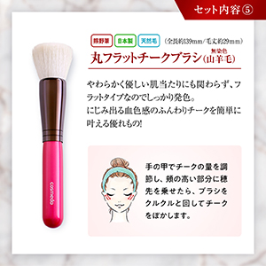 Amazon.co.jp: 匠の化粧筆コスメ堂 熊野筆 メイクブラシセット