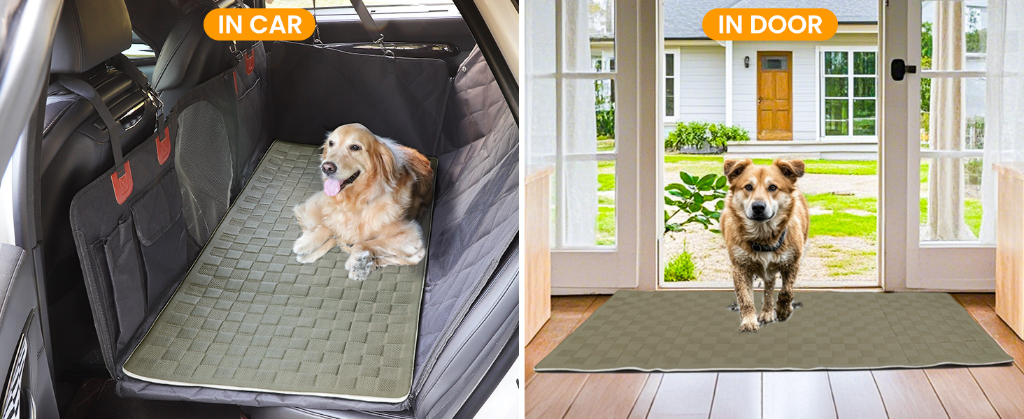 dog mat