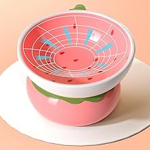 cat food dish for indoor cats