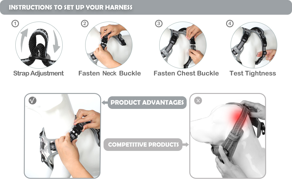 dog harness