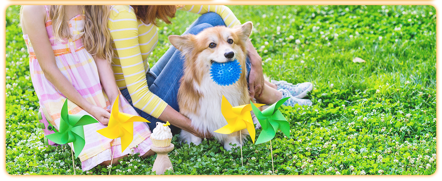 dog squeaky balls 3.5