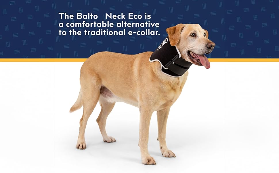 Balto Neck Eco ECollar Alternative Dog Recovery Collar