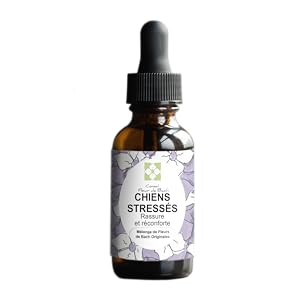 CHIEN STRESSÉ