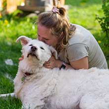 100ft dog tie-outs & stakes