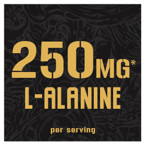 5% Nutrition Core L-Glutamine Supplement L-Alanine Amino Muscle Builder Post Workout Unflavored