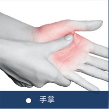 指伸筋エクササイズ