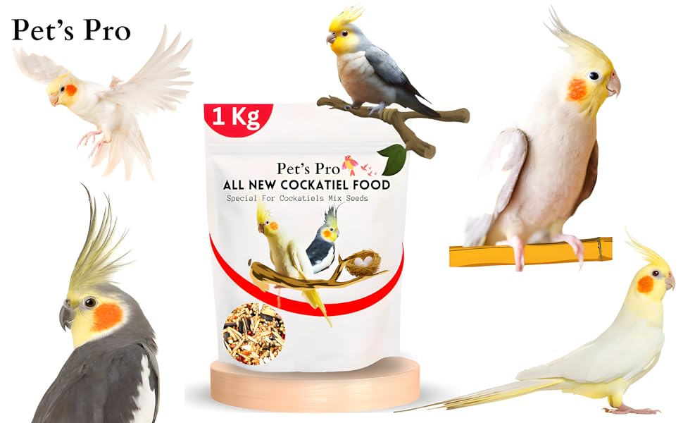 Buy All New Cockatiel Food Seeds Special Made Only for Cockatiels (1