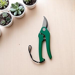 gardening tool
