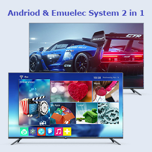 DUAL SYSTEM