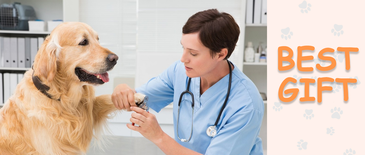 dog Grooming
