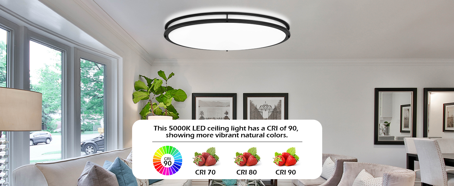 LED Flush Mount Ceiling Light with Remote
