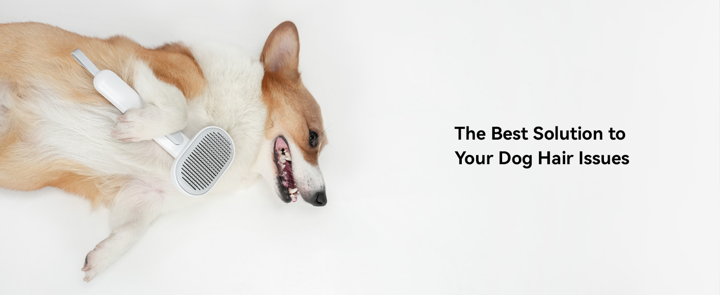dog brush cat brush