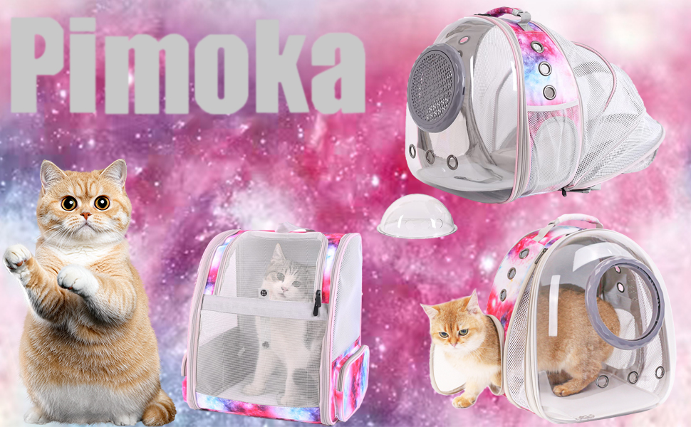 cat bubble backpack