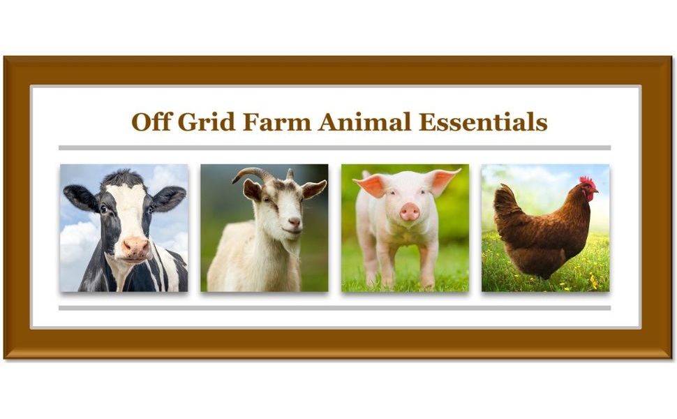 Large manufacture image 2