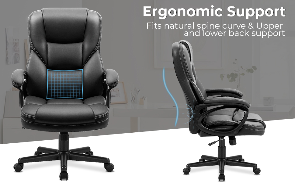 Ergonomic Desk Chair
