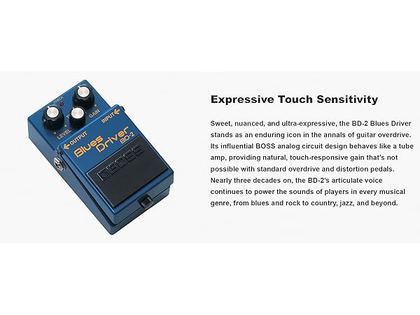 Amazon.com: Boss BD-2 Blues Driver Bundle with Gearlux