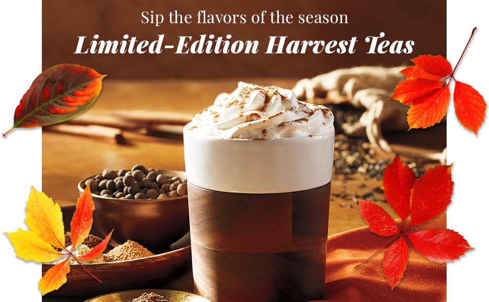 The Republic of Tea Hot Apple Cider