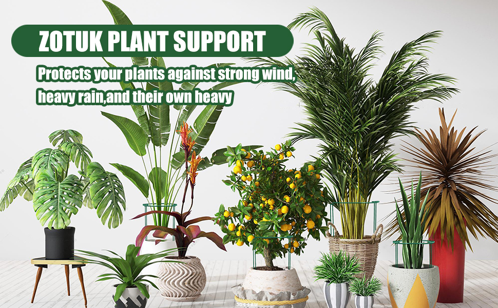peony support