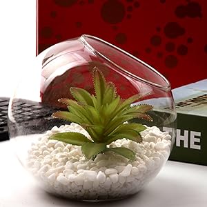 planter terrariums