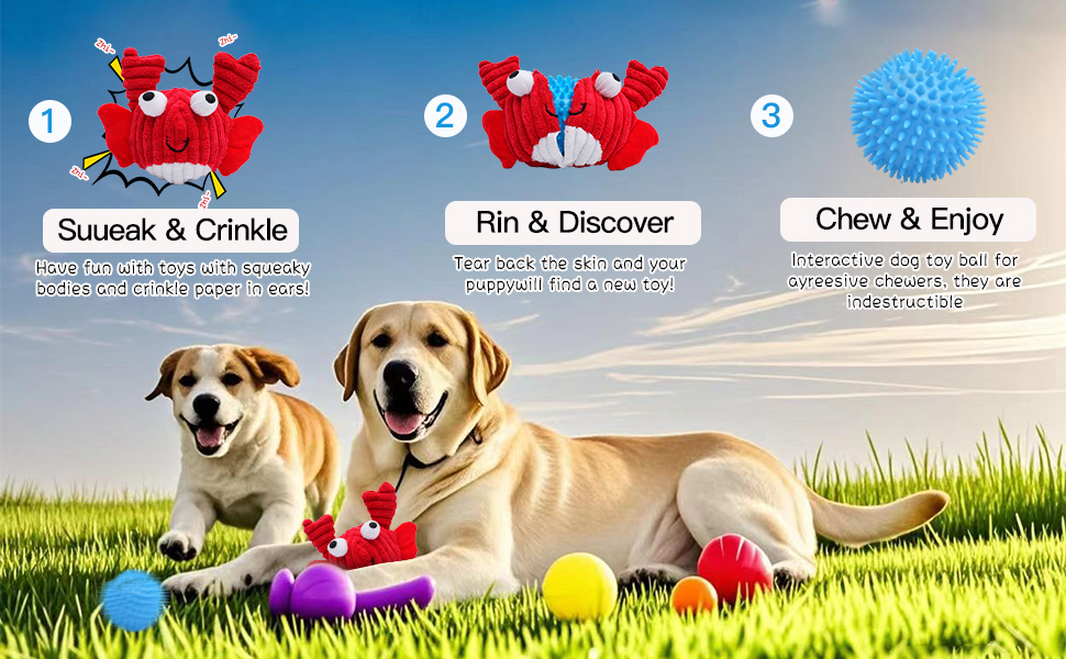 Chewing toy balls