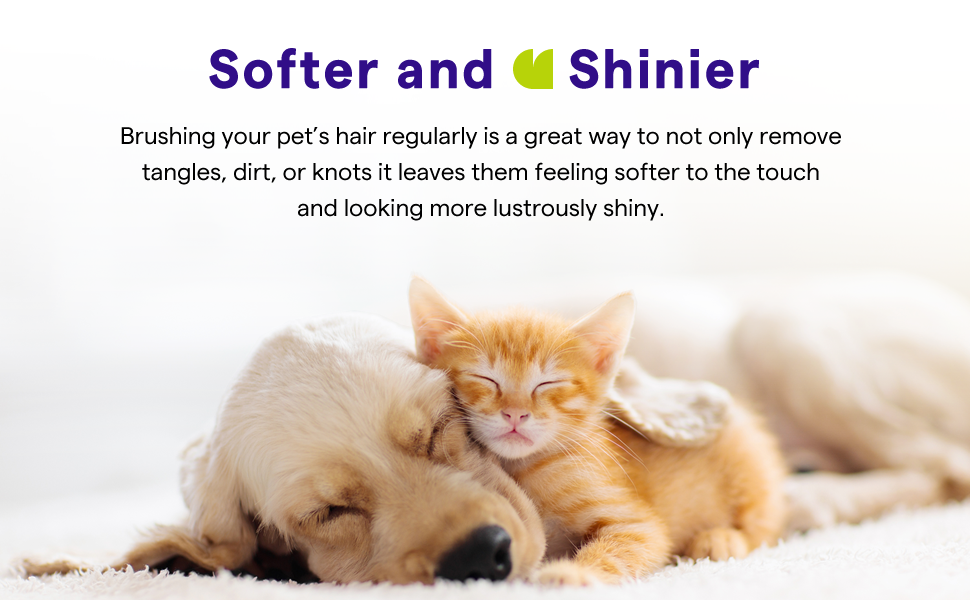 Dog Comb for Removes Tangles