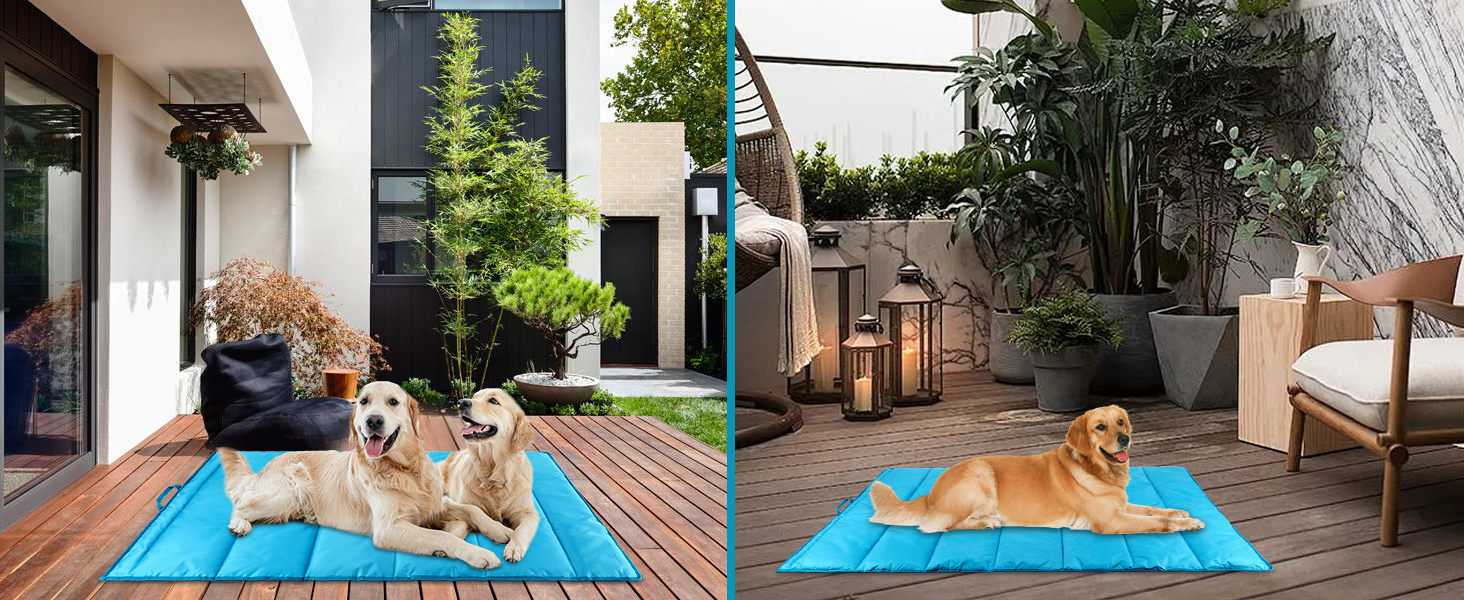Dog Bed for Indoor and Outdoor