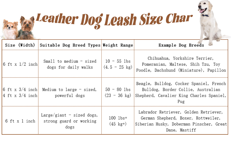 leather dog leash size char