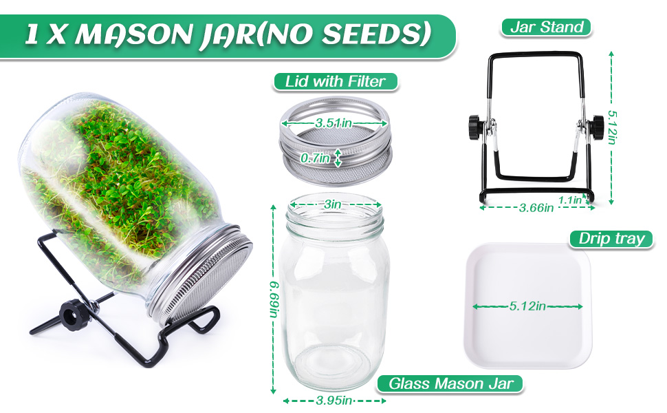 Seed Sprouting Jar Kit with 1 Wide Mouth Mason Jars Bean