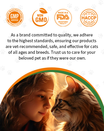 Antibiotics for Cats