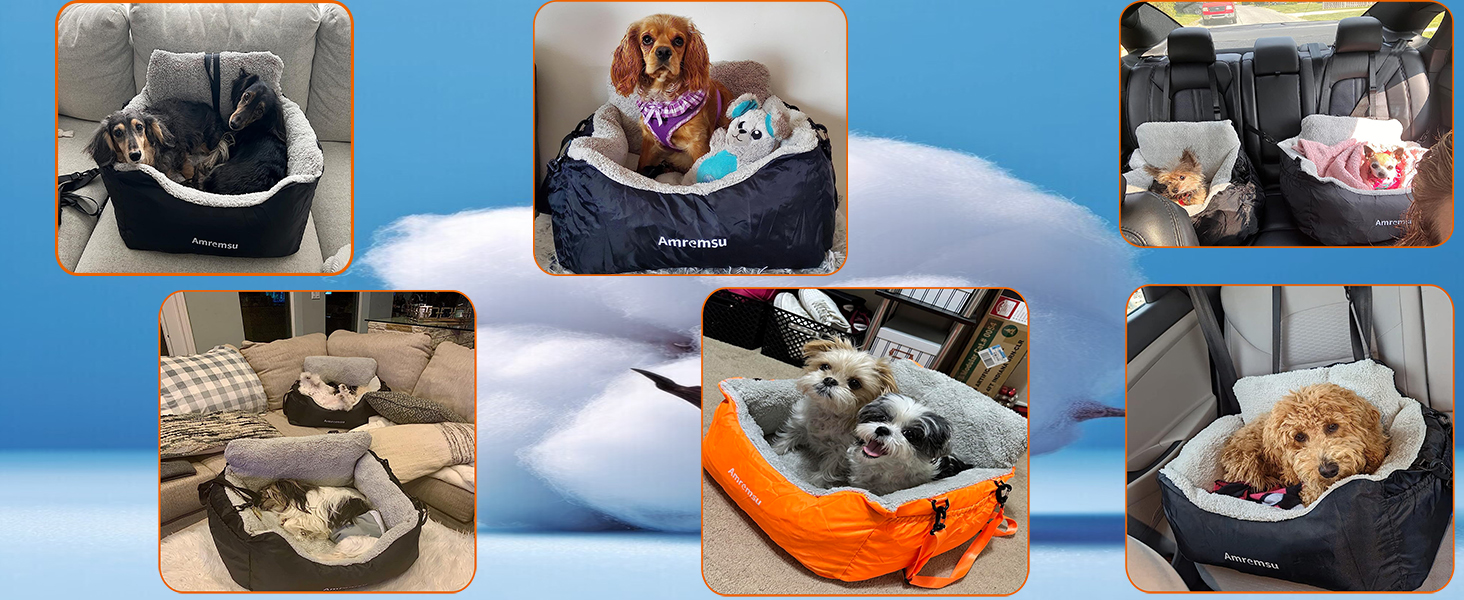 dog car seat