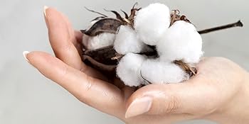 Car Seat Toys Stroller Toys, Newborn Toys Black and White Baby Toys Stretch & Spiral Activity Toy