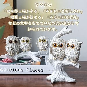 Amazon.co.jp: フクロウ 置物 開運 ふくろう 風水 縁起物 梟 白