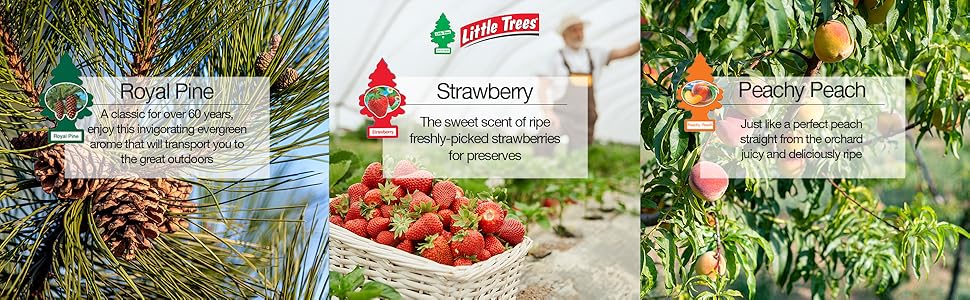 Large manufacture image 3