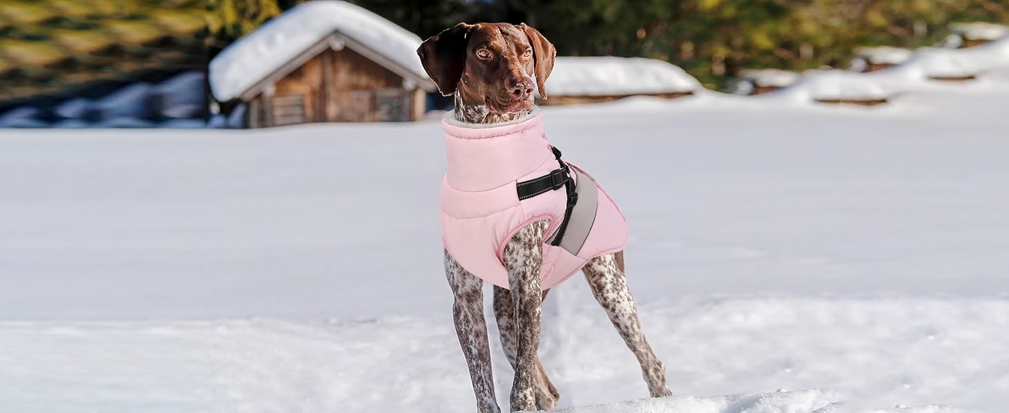SUNFURA Dog Coat, XXL Dog Jacket Winter with Harness Built